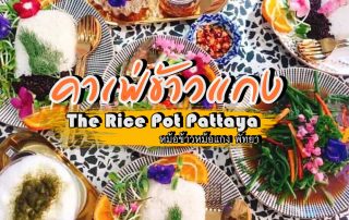 The Rice Pot Pattaya
